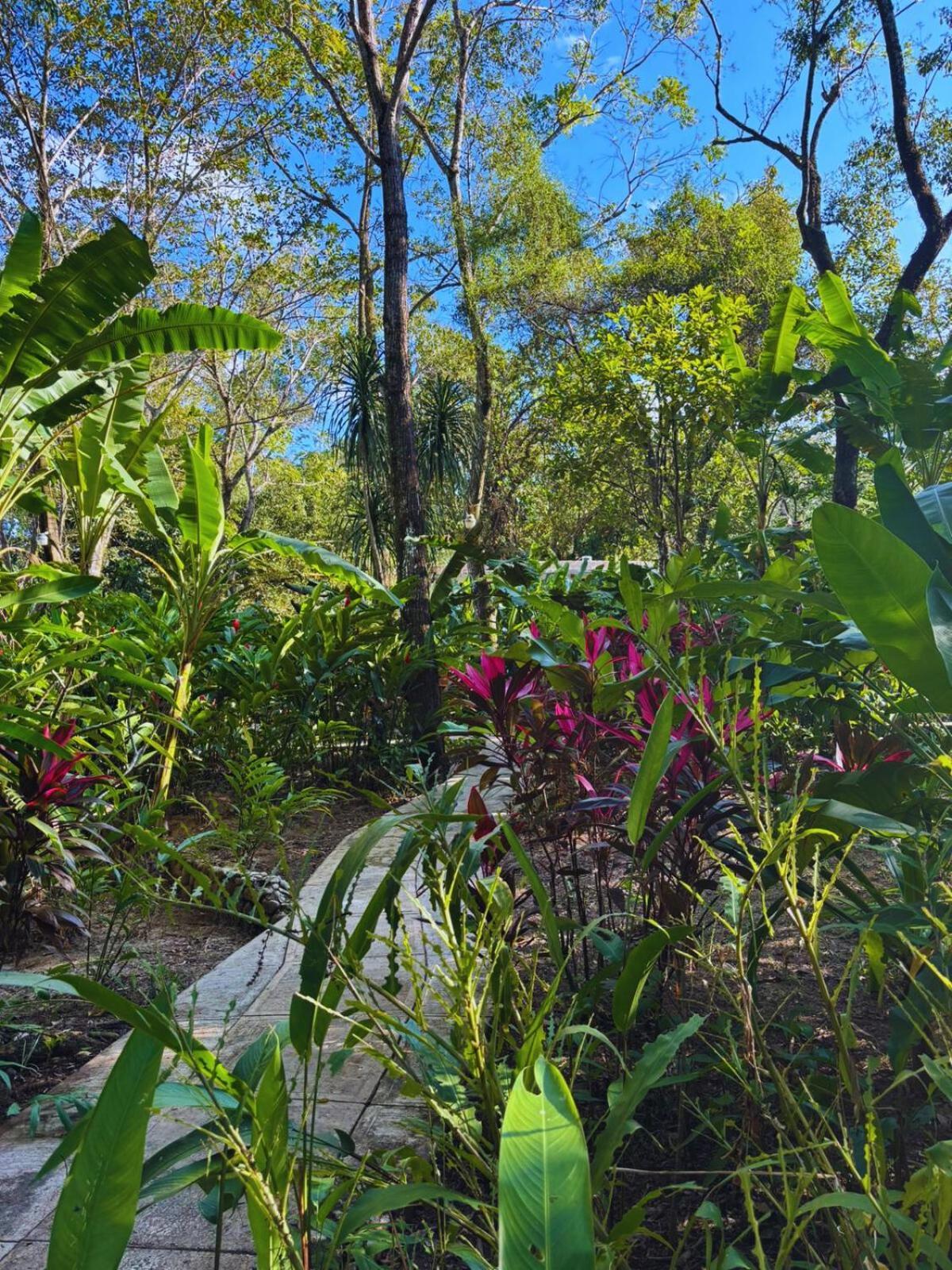 Hotel la Aldea del Halach Huinic Palenque Buitenkant foto